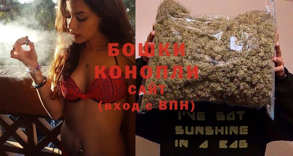 PSILOCYBIN Волосово