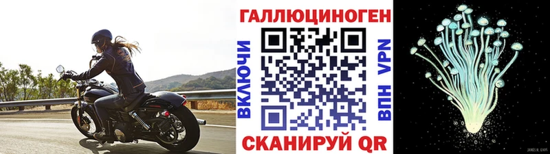 где купить наркоту  Новоаннинский  Галлюциногенные грибы мухоморы 